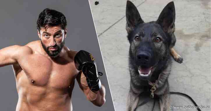 40 maanden cel geëist tegen Jamal Ben Saddik: speurhond vond half miljoen euro in kelder van vriend