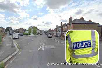 Craigdale Road, Hornchurch fight: Person in hospital