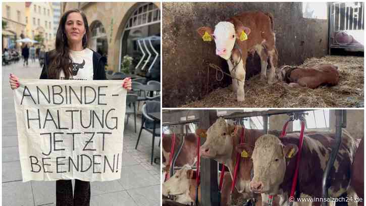 „Raus aus dieser Tierqual, raus aus diesem Leid“: Animal Rights Watch fordert Ende der Anbindehaltung