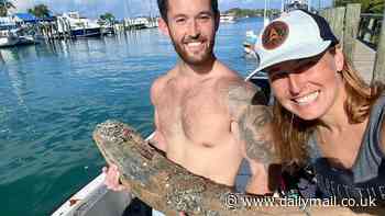 Man discovers prehistoric monster off the coast of Florida - and it could be 10 million years old