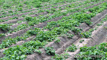 Grote zorgen over verdere verloop van het seizoen