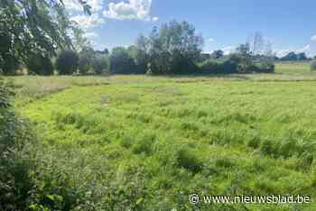 Sociale woonmaatschappij plant bouw van dertig sociale en meergezinswoningen: buren vallen uit de lucht