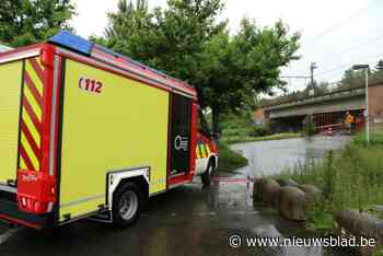Passant treft lichaam van man (58) aan in Durme, parket gaat uit van spijtig ongeval