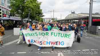 Protestmarsch für Klimaschutz legt Braunschweigs Innenstadt lahm