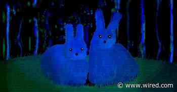 ‘Animal Well’ Demonstrates What Gaming Stands to Lose Amid Indie Studio Closures