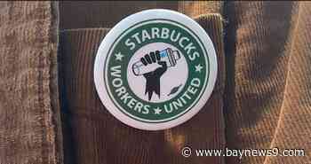 Starbucks resumes bargaining with new unionized stores, including Tampa