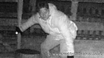 11 goats stolen in Wheathampstead sparks Herts Police appeal