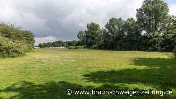 Langes Warten am Salzgittersee: Wann endlich kommt die McArena?