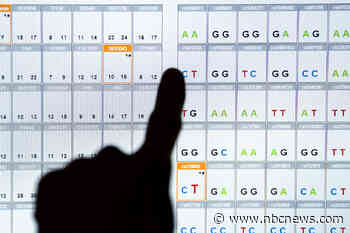 Scientists find a likely cause of many unexplained cases of intellectual disability: A genetic disorder