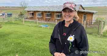 Calgary-area woman cares for fox family: ‘They light up our lives’