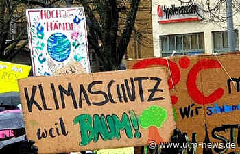 Fridays for Future demonstriert für EU-weit konsequente und ambitionierte Klimapolitik