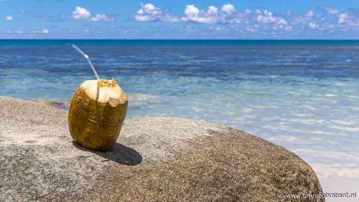 'Oma'  de cel in voor witwassen, maar niet voor vakantiereis van 1 miljoen