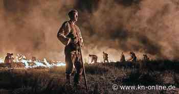 „King‘s Land“ im Kino: Nordischer Western mit Mads Mikkelsen