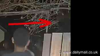 Aliens were tinkering with equipment in Las Vegas backyard, says expert: 'This is the absolute end'