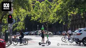 A police crackdown on e-scooters this week showed riders were flagrantly disregarding road rules. So what are the rules?