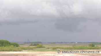 A deep dive into petrichor, the smell that follows rain