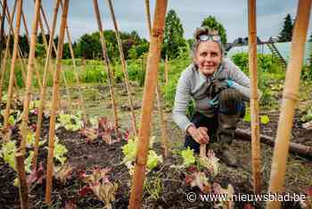 “Ik zaai zelfs bereklauw”: ex-chefkok tovert mineralenarm akkerland om tot ecotuin