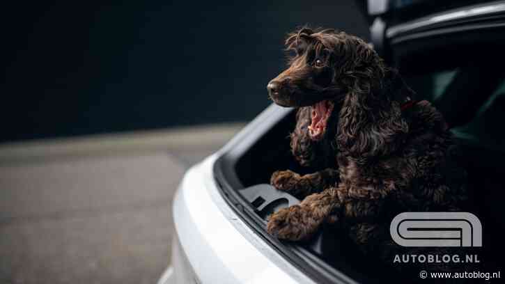 Autoblog Garage: introductie nieuwe dieselbeuker WillemE