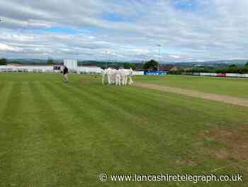 SECOND XI'S: Partington and Patel help Lever beat FSC
