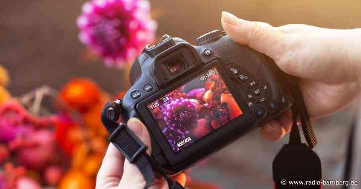 Die schönsten Naturfotos gesucht!