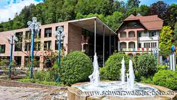 Liebenzeller Ex-Schultes will in Gemeinderat: Warum der Grünen-Ortsverband vor Wahl warnt