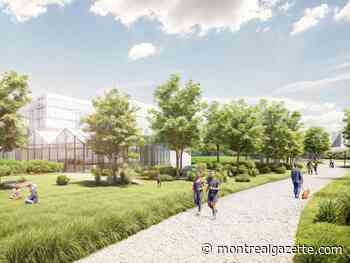 The Hippodrome turned neighbourhood: At what cost?