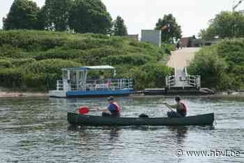 Maas stijgt: drie fietsveerponten worden dit weekend uit de vaart genomen