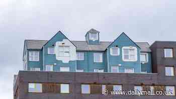 Is THIS Britain's strangest tower block? Flats in Middlesbrough have a COTTAGE built on top in bizarre design... but is all that it seems?