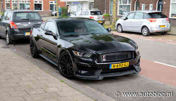 Gespot – Dikke ‘Shelby’ Mustang heeft gewoon een vierpitter