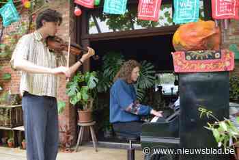 Vijftig jaar Velt gevierd met vijftig meter lange tafel in bakermat Halle: “Moeke stelde vake voor keuze, scheiden of ecologisch tuinieren”