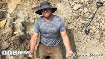 Dinosaur hunter stumbles across million-dollar find