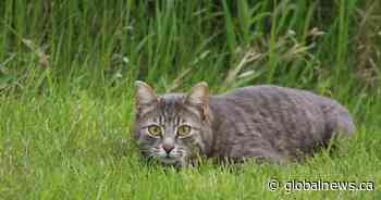 Your Saskatchewan photo of the day: June 2024