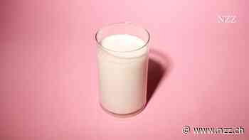 Preiskampf in den Kühlregalen: Die Biomilch wird plötzlich viel billiger. Aber warum?