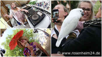 midsommar - „Festival der Geheimtipps, nicht der großen Namen“