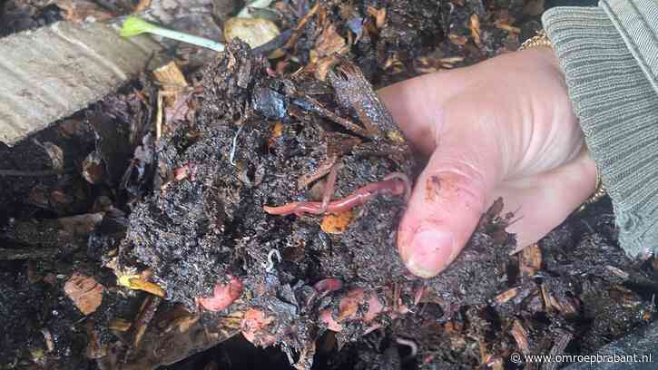 Wormen en samen tuinieren in de strijd tegen hitte en wateroverlast