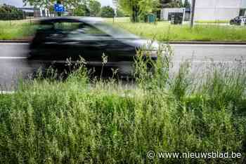 “Natte broek op fietspad door overhangend bermgras”