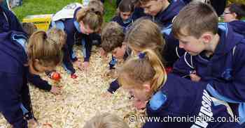 More than 1700 schoolkids to visit Northumberland 'country classroom' for annual Children's Countryside Day