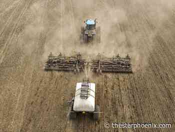 Spring rains welcome, but drought risk lingers in Western Canada