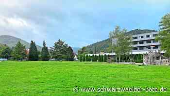 Schweizer Wiese in Bad Herrenalb: Und wenn keine Bebauung gewünscht ist?