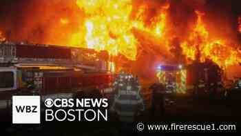 Firefighters from 11 FDs rescue horses in Mass. 5-alarm stable blaze