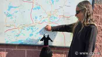 'We go everywhere together': Man took baby goat on cross-country road trip to Edmonton