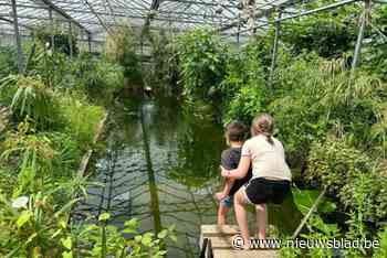 Ecologische tuinen zetten hun poorten open: “Verborgen parel in serre met modderkeuken, subtropisch voedselbos en zwemvijver”