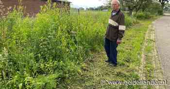 Bloemenparadijs verwoest door maaifout: 84-jarige imker Gerrit in rouw