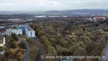 So geht es weiter mit Salzgitters Vorzeige-Baugebiet im Süden