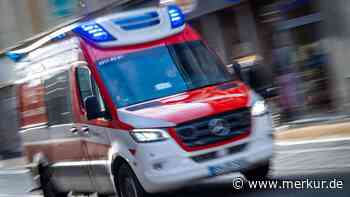 Baum stürzt im Mauerpark um: Mehrere Menschen getroffen