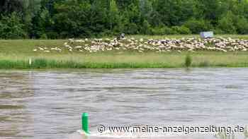 Damm durchweicht: Evakuierung wischen Donau und Schmutter