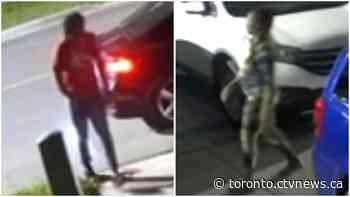 Police looking for individuals involved in alleged forcible confinement, assault investigation