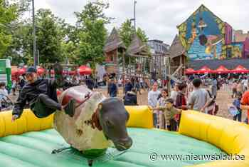 Buurtbewoners genieten van allerhande animatie op Terlopleinfeest