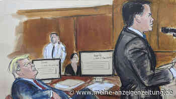 Aufgeregt wie ein Käfer: Zeichnerin packt über Donald Trump im New Yorker Prozess aus