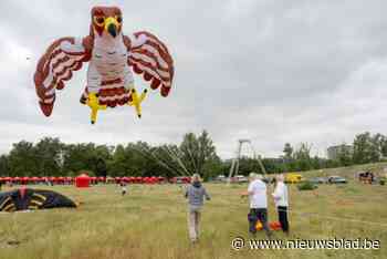 IN BEELD. Opvallende vliegers zorgen voor spektakel op Linkeroever